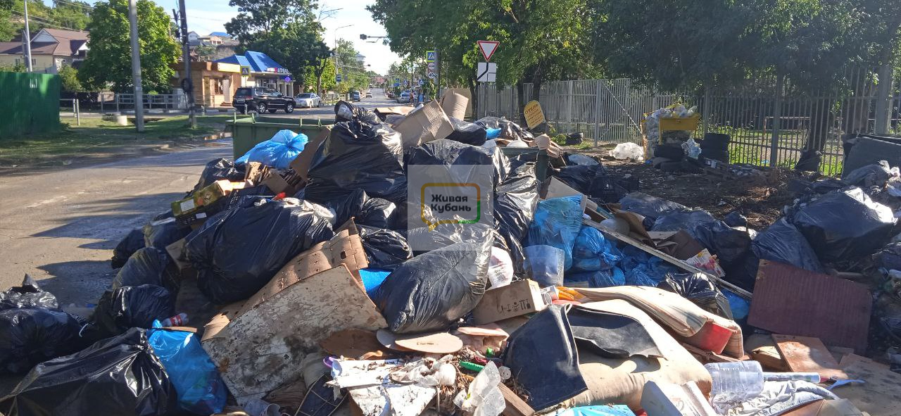 Фото: Живая Кубань