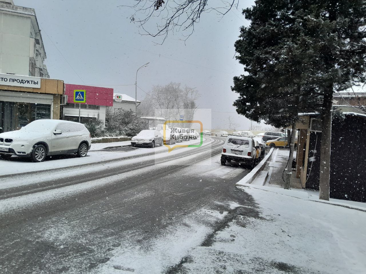 Фото: Живая Кубань