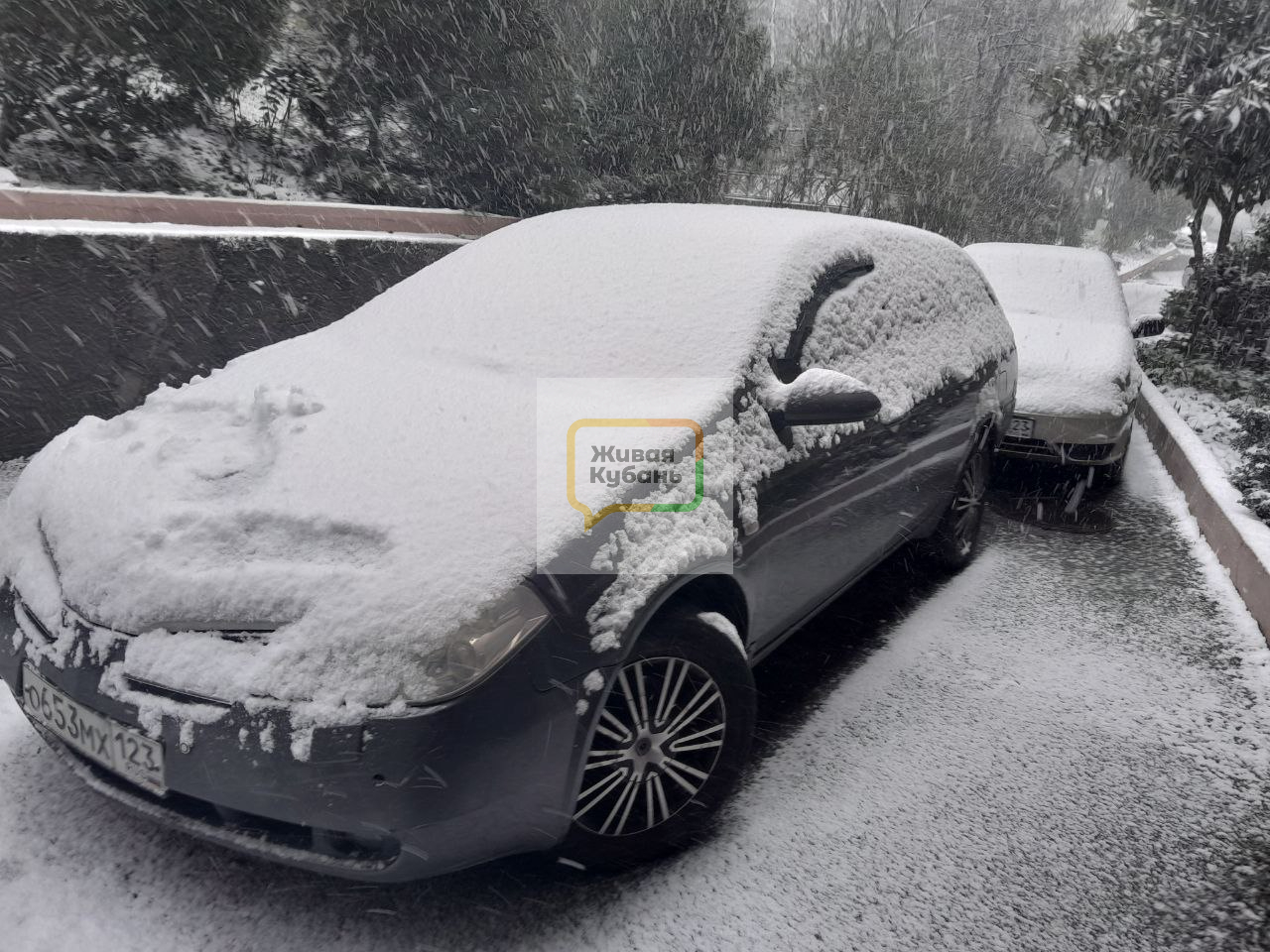 Фото: Живая Кубань