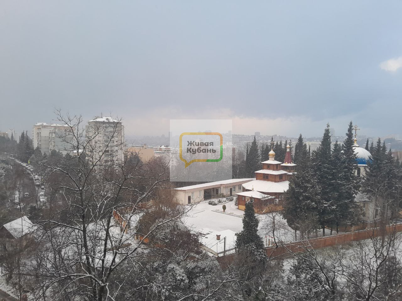 Фото: Живая Кубань