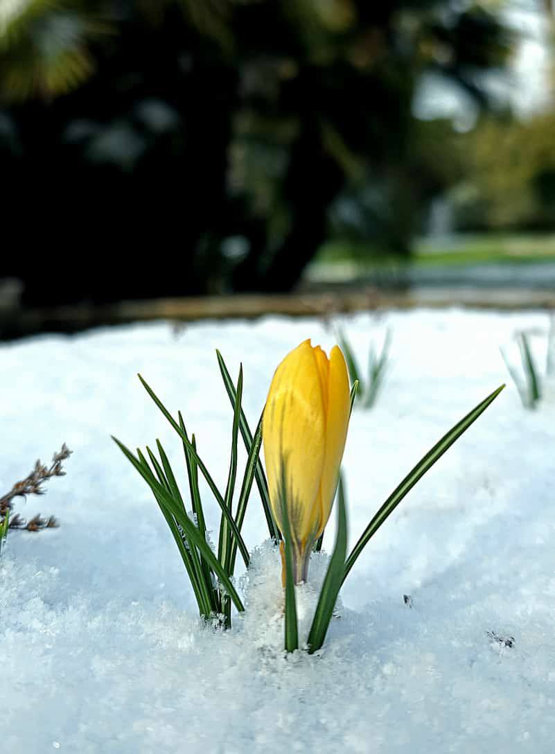 Фото: Живая Кубань