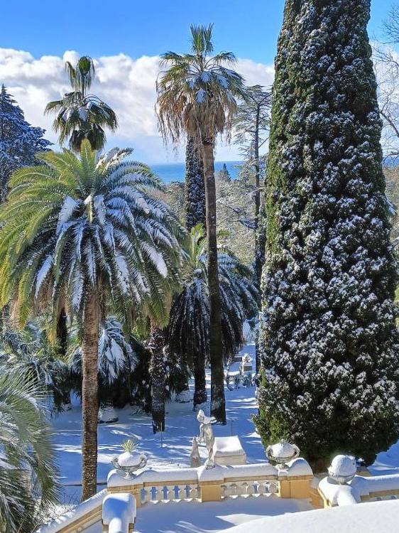 Фото: Живая Кубань