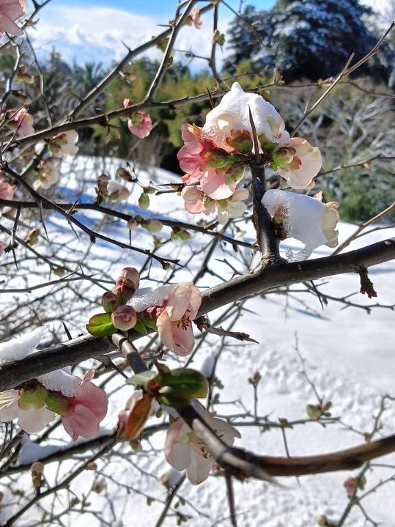 Фото: Живая Кубань