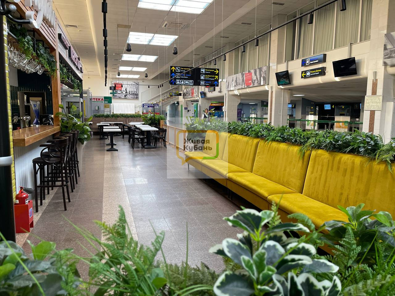 Фото: Живая Кубань