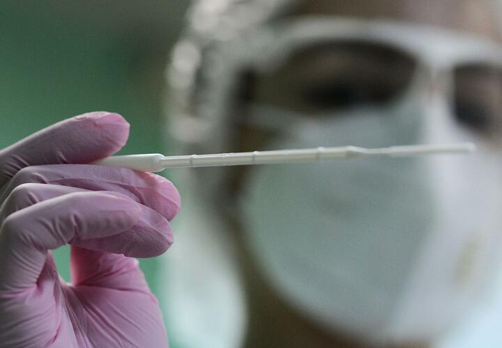 На Кубани выявили еще 173 случая заражения коронавирусом