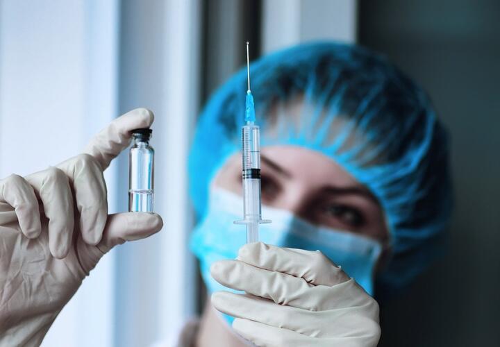 Голикова заявила, что россияне сами смогут выбирать вакцину от COVID-19
