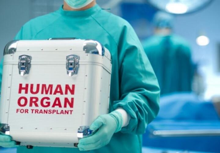 В Адыгее заблокировали cайты по продаже человеческих органов