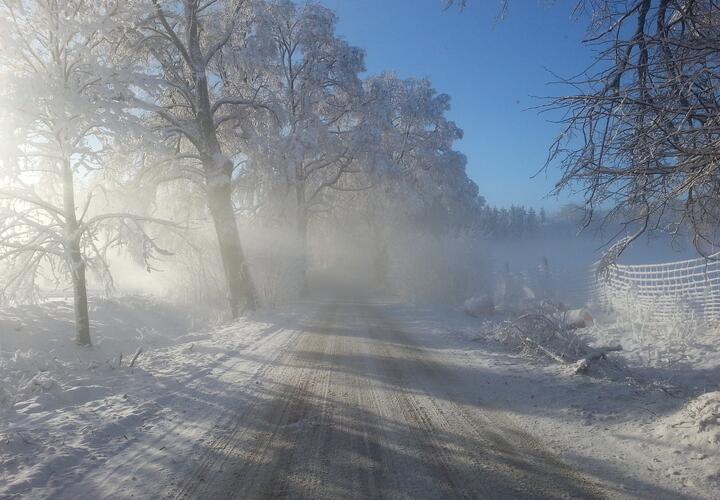 Метель и сильный снег ожидаются в Краснодарском крае