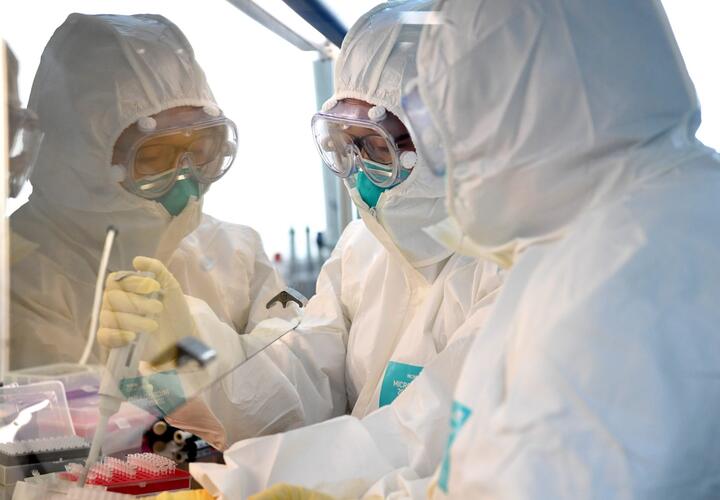 Российские ученые придумали способ убить коронавирус 