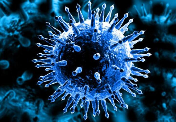 Специалисты рассказали, чем опасен новый штамм коронавируса