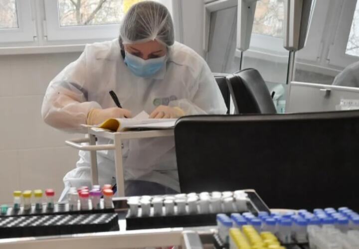 В Краснодарском крае подтверждено еще 185 новых случаев коронавируса