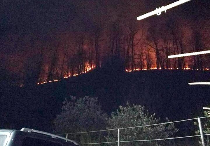 В Сочи почти пять часов тушили лесной пожар 