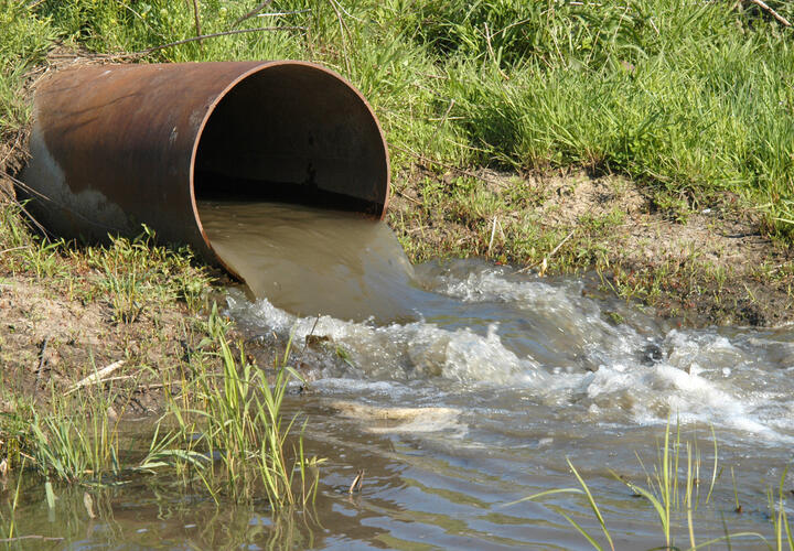 Прокуратура нашла незаконный сброс сточных вод в Темрюкском районе