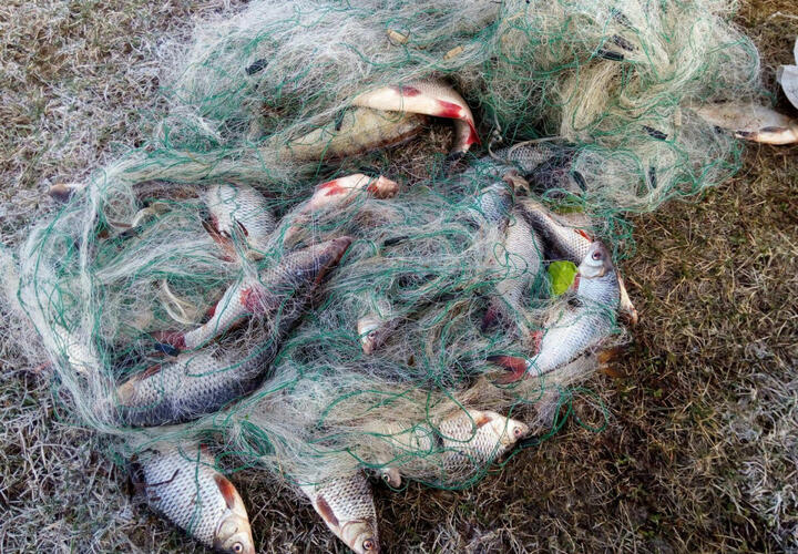 В Краснодарском крае браконьера оштрафовали за ловлю рыбы в заказнике