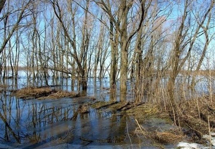 Несколько районов Кубани могут быть затоплены 