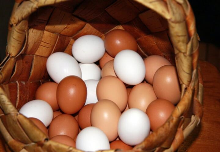 Птицефабрики могут отказаться от производства отборных яиц и грудки