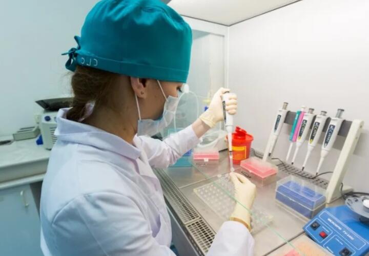 В Краснодарском крае снижается количество новых случаев коронавируса