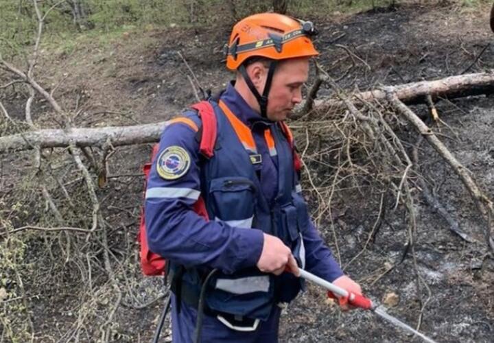 В Новороссийске начался сезон лесных пожаров