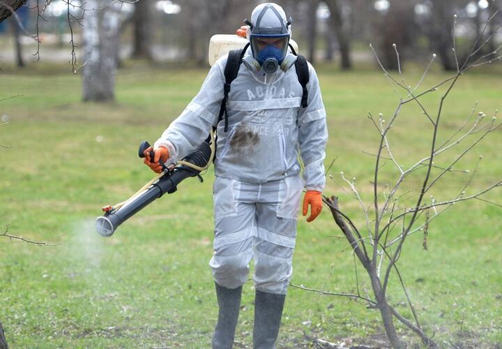 В Краснодаре начнется обработка парков от клещей и комаров