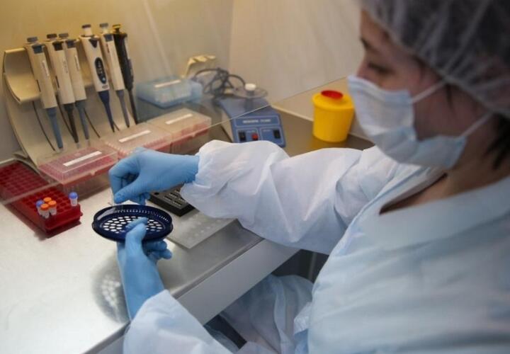 В Краснодарском крае подтверждено 126 новых случаев коронавируса
