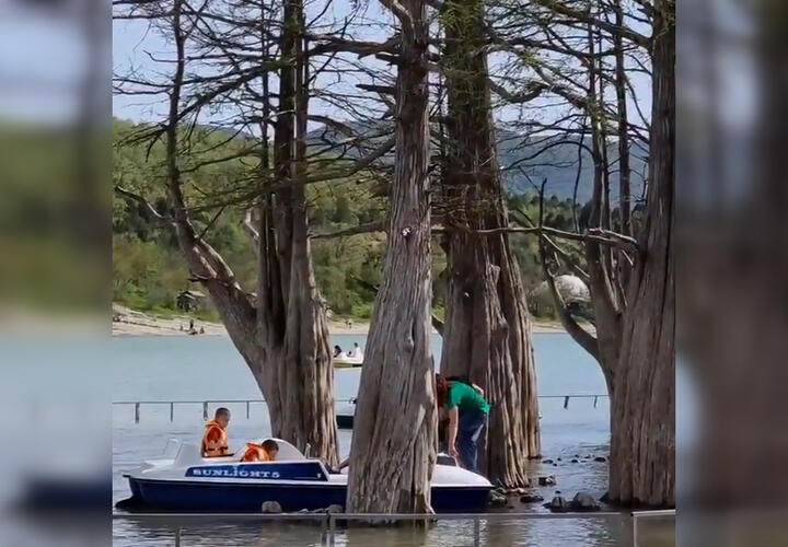 Житель Анапы призвал туристов не губить кипарисы на озере ВИДЕО