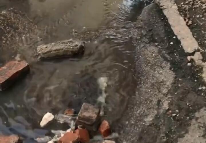 Житель Краснодара предложил радикально бороться с прорывами канализации в городе