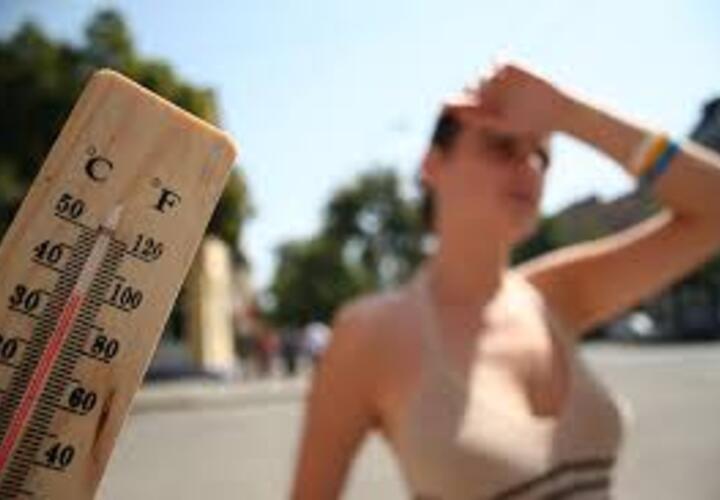 Дожди на Кубани будут сопровождаться 30-градусной жарой