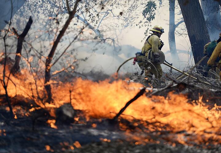 С виновника пожара в Туапсинском район взыщут затраты на тушение