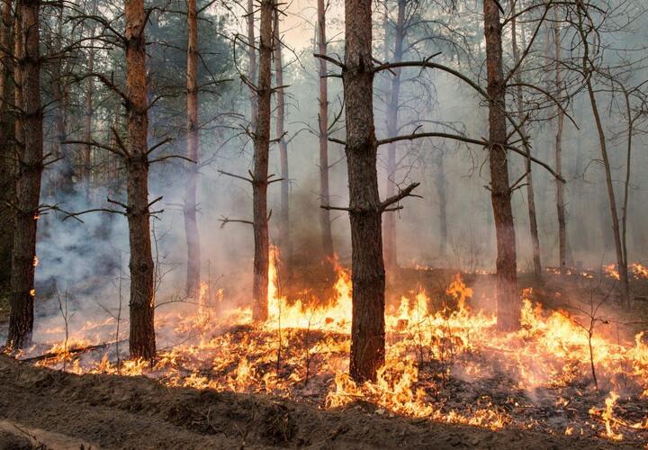 В Краснодарском крае на выходных возможны пожары