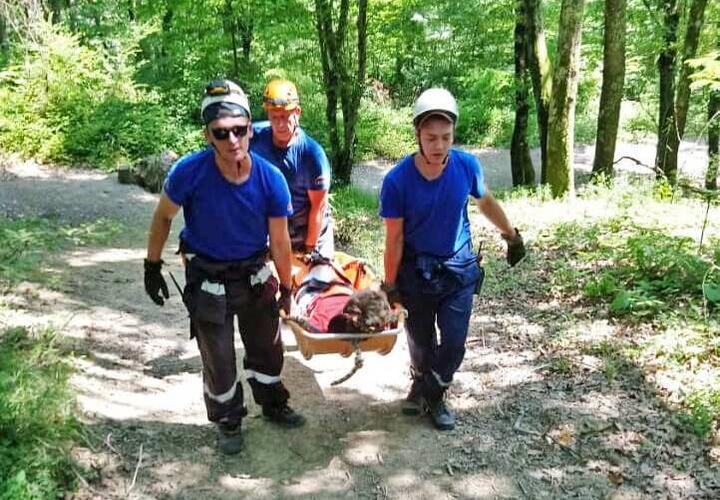 В Сочи спасатели пришли на помощь туристке, подвернувшей ногу в лесу