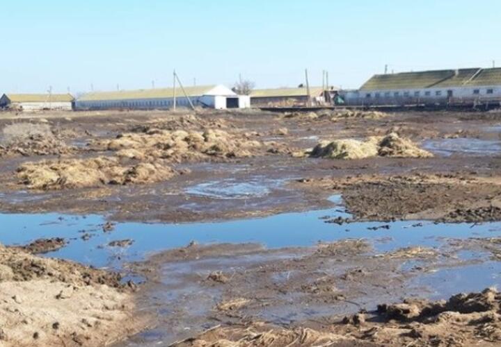 Кубанская агрофирма заплатит 21 миллион рублей за загрязнение почвы
