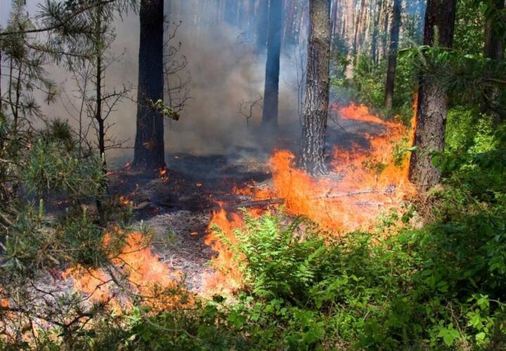 В Краснодарском крае до 29 июля будет пожароопасно