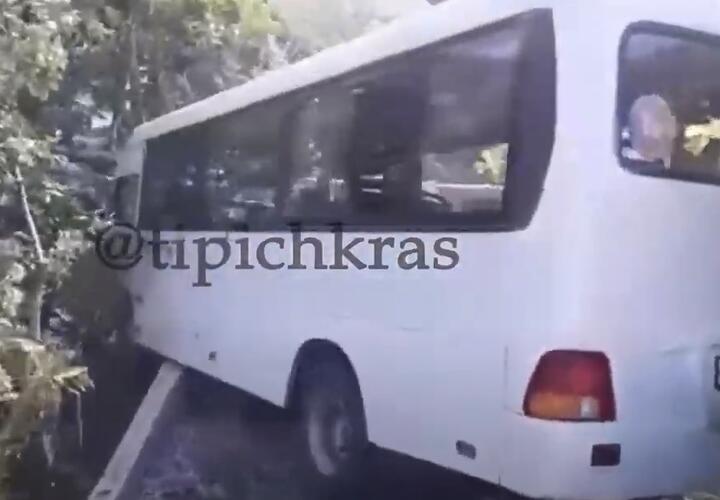 В Сочи рейсовый автобус улетел в кювет ВИДЕО
