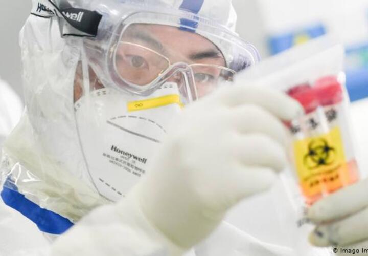 На Кубани за последние сутки заразились коронавирусом еще 250 человек 