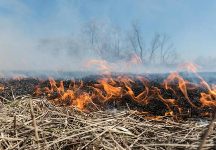 В Геленджике разгорелся природный пожар
