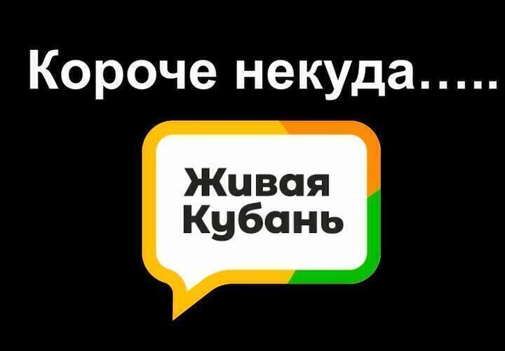 Ветуправление Краснодара не будет покупать иномарку за 4 миллиона, а на Новороссийск обрушился ливень: итоги дня за 10 августа