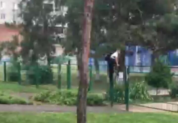 В Краснодаре дети в школу, лазят через забор ВИДЕО