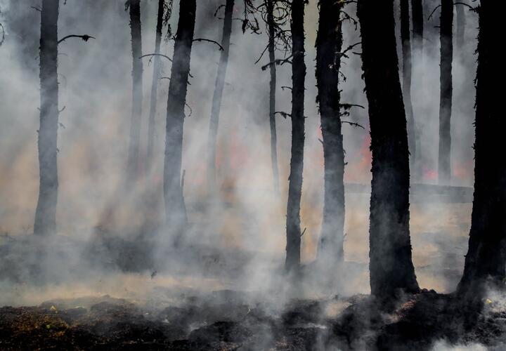 На Кубани объявили режим высокой пожароопасности