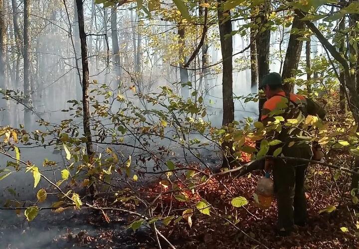 В Горячем Ключе больше гектара леса охвачено пожаром