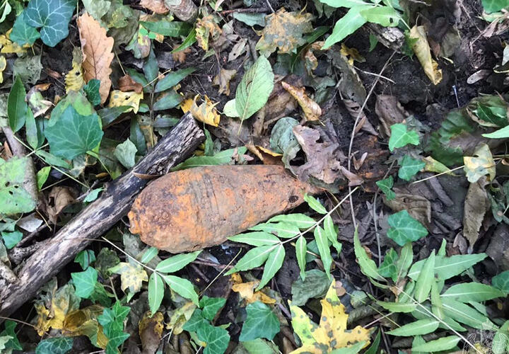 Житель Кубани искал грибы, а нашел минометную мину