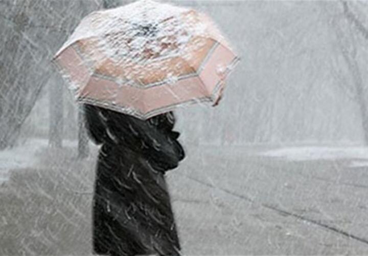 На Кубани объявлено штормовое предупреждение по налипанию мокрого снега 