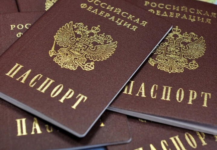 Паспорт - за пять дней: в России изменили правила оформления документа