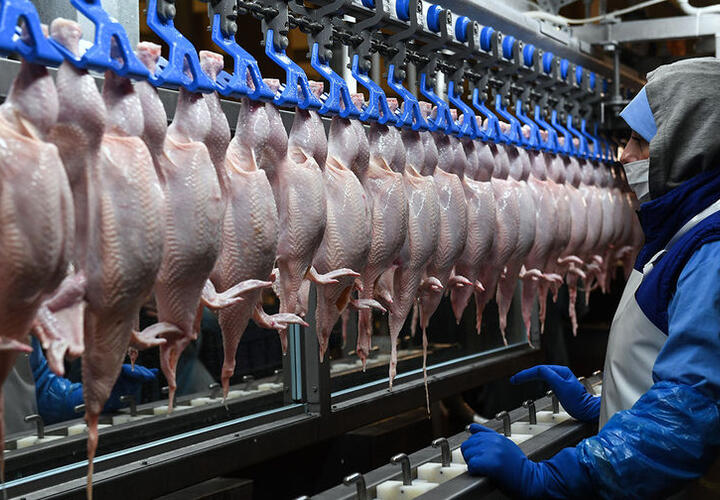 Россиян предупредили о росте цен на мясо птицы