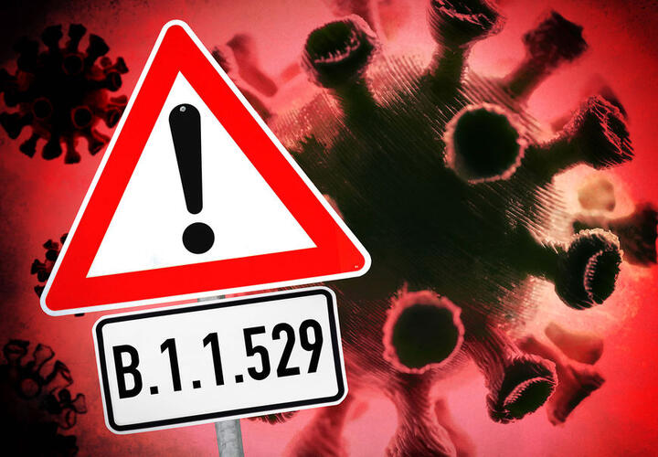Штамм «омикрон» может завершить пандемию COVID-19