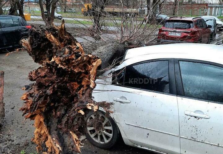 В Краснодаре за ночь ураган повредил 21 автомобиль ВИДЕО