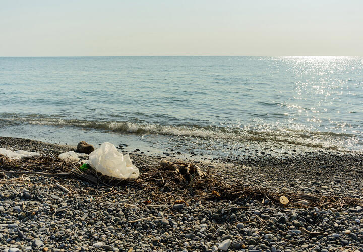 В Черном море обнаружили опасные химические вещества