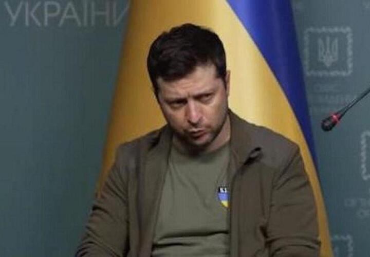 Начальник Украины Зеленский «названивает» жителям Кубани ВИДЕО