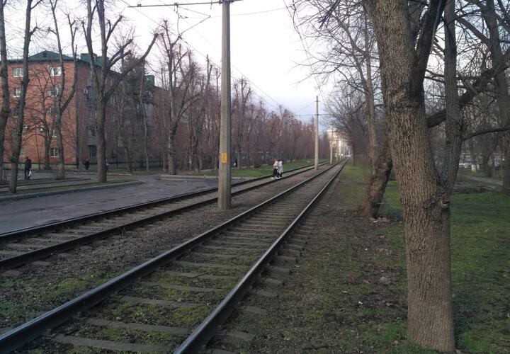 В Краснодаре жители улицы Стасова отстаивают «свой» сквер