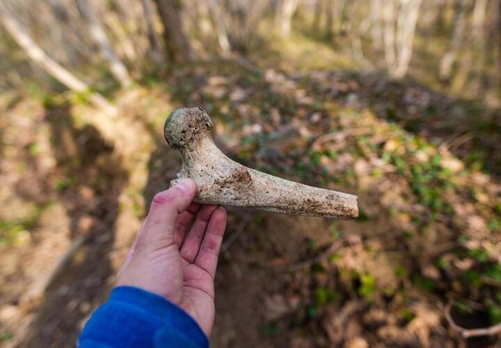 Под Новороссийском на дороге нашли человеческие кости