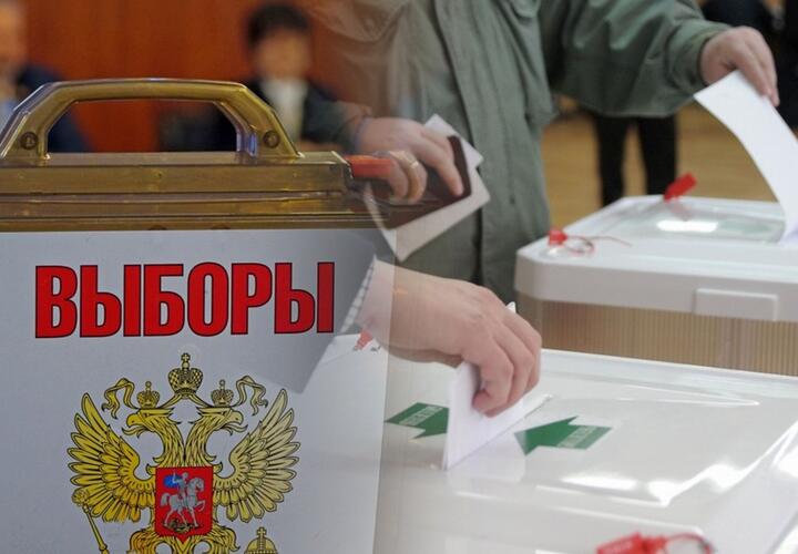 В России могут отменить  в этом году выборные кампании